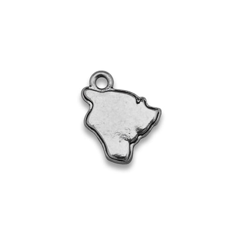 Accent States Hawaii Map Charm